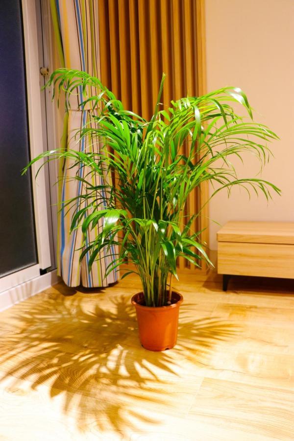 Pingtung Zen Home Extérieur photo